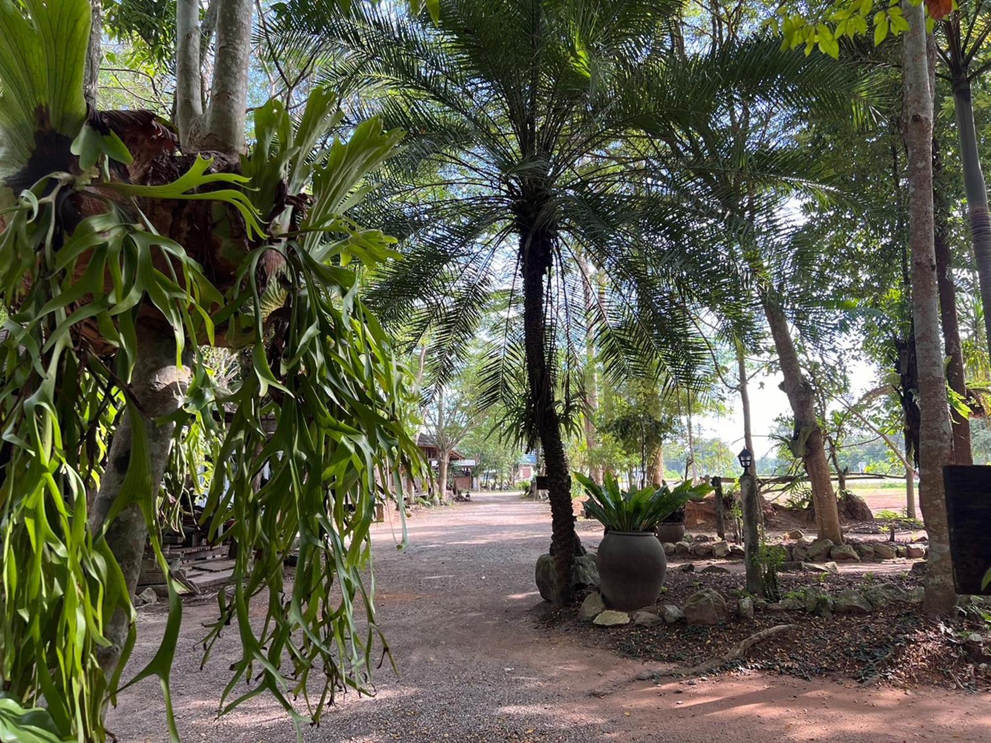 Pang Mai Resort 송클라 외부 사진
