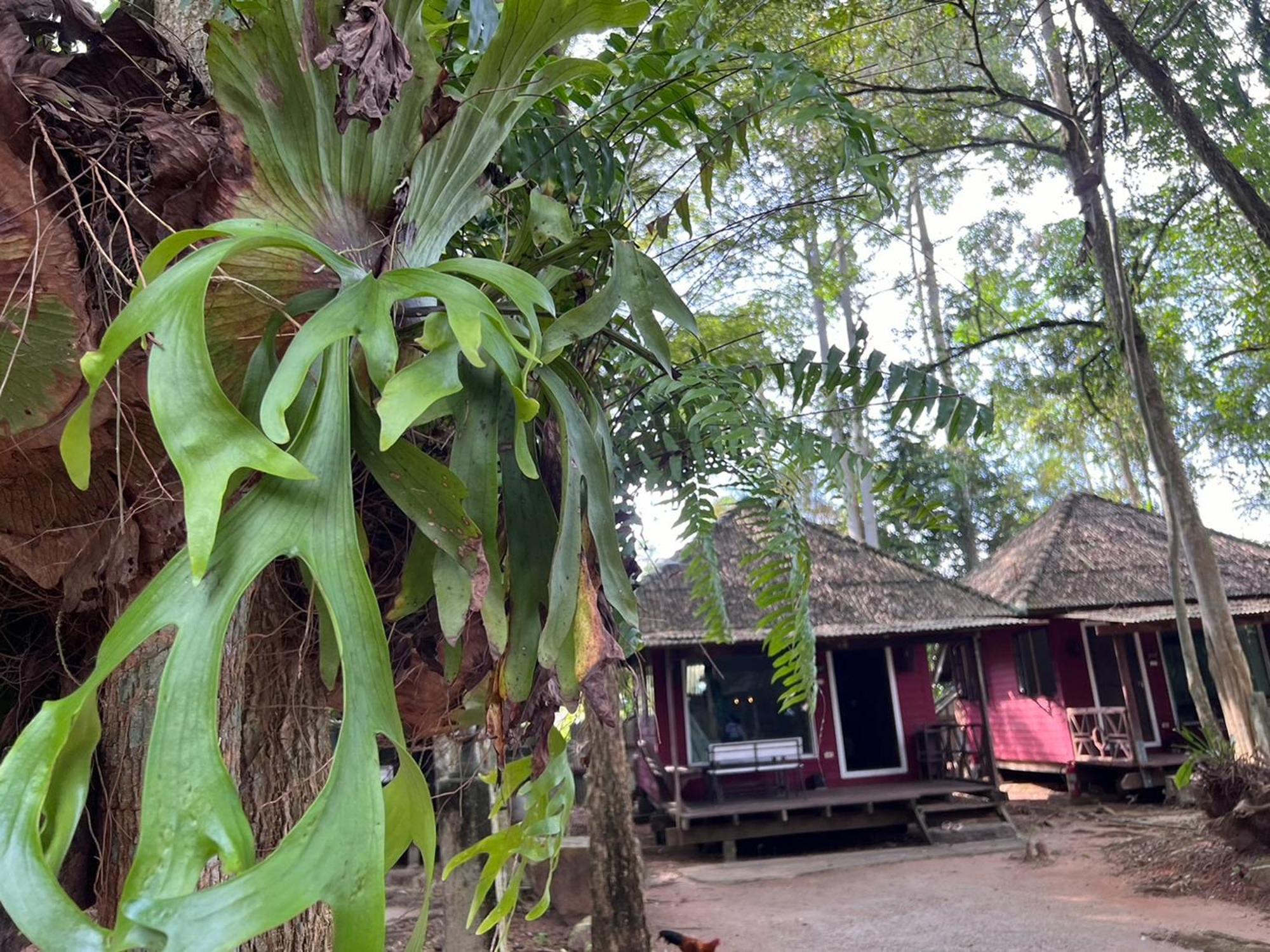 Pang Mai Resort 송클라 외부 사진