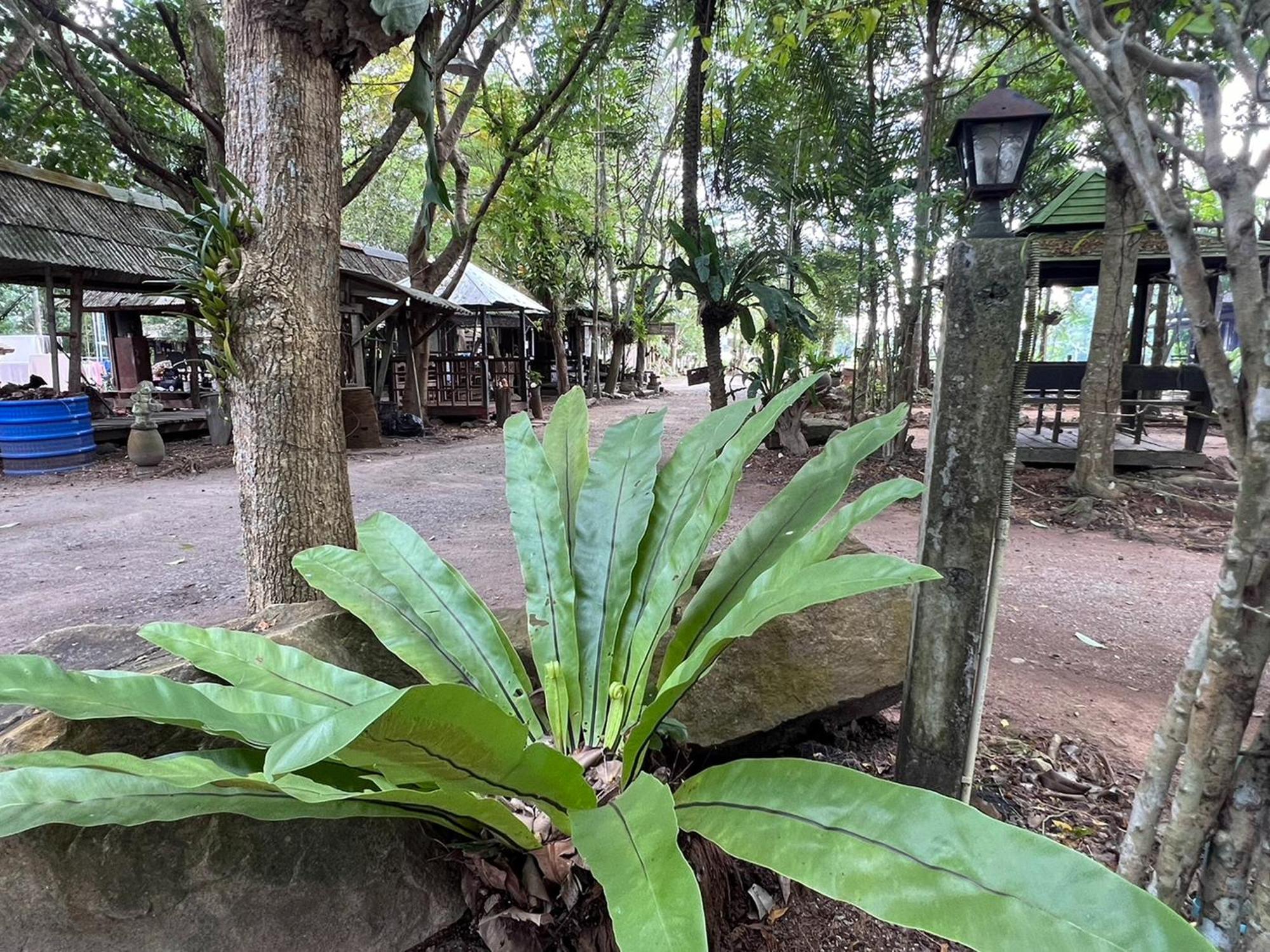 Pang Mai Resort 송클라 외부 사진